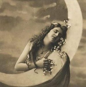 Meet your Posher, Shellie